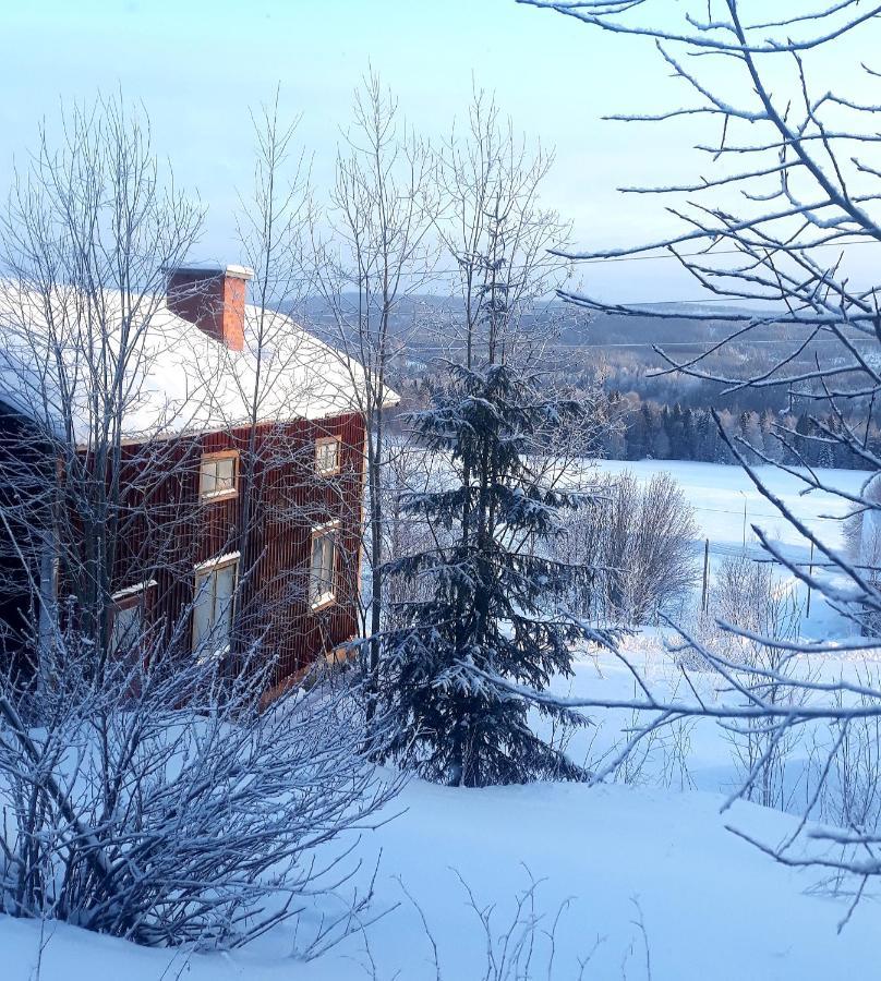 Cozy Stuga - Mountain View Ramsele Exterior foto