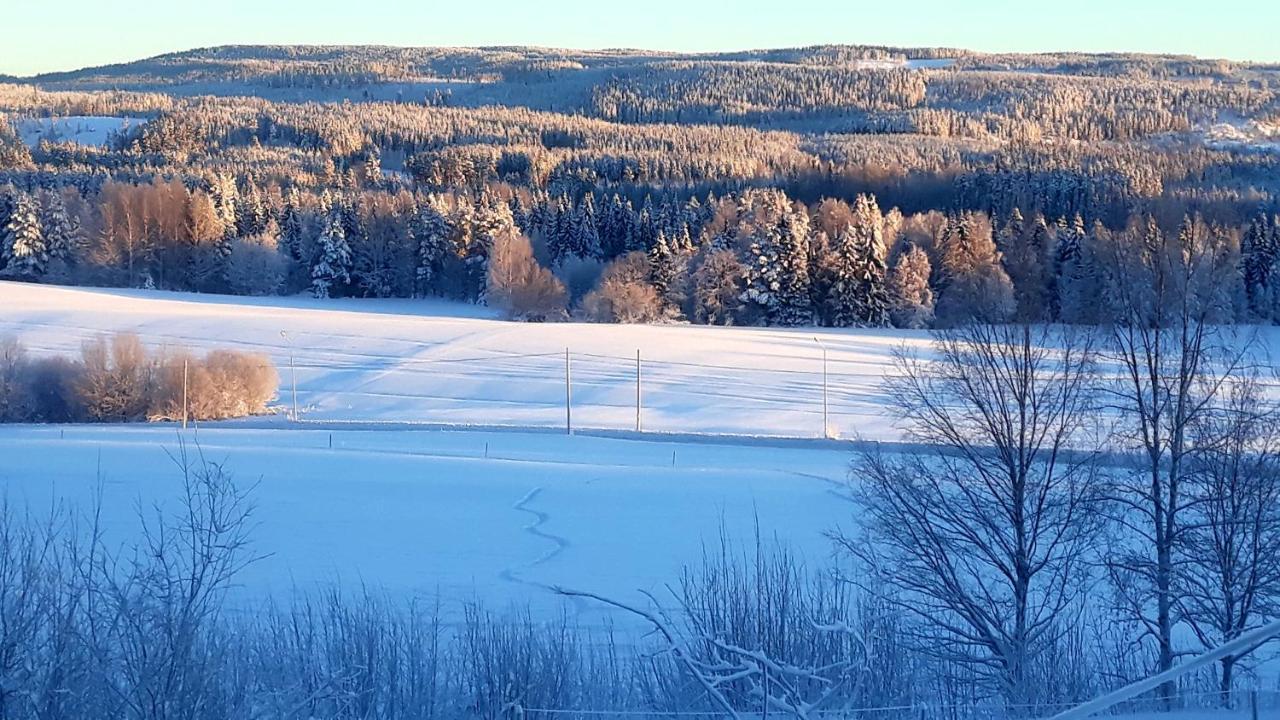 Cozy Stuga - Mountain View Ramsele Exterior foto